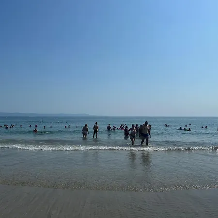 Studiosaltsea *